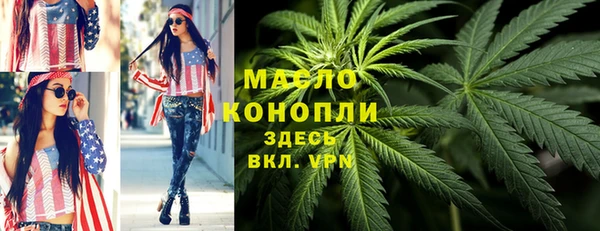 дмт Алексин